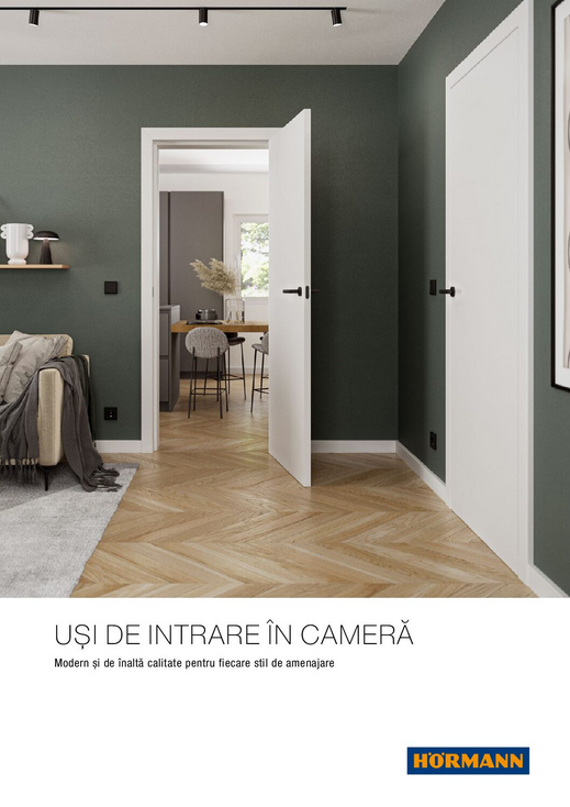 usi-intrare-in-camera-datadoors